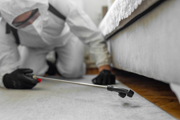 Professional Bed Bug Control technician working in Essex Junction, VT