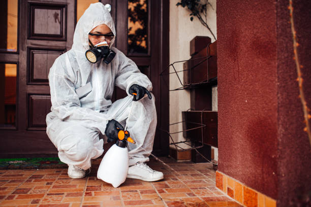 Reliable Bed Bug Control contractor in Essex Junction, VT by Nex Pest Control