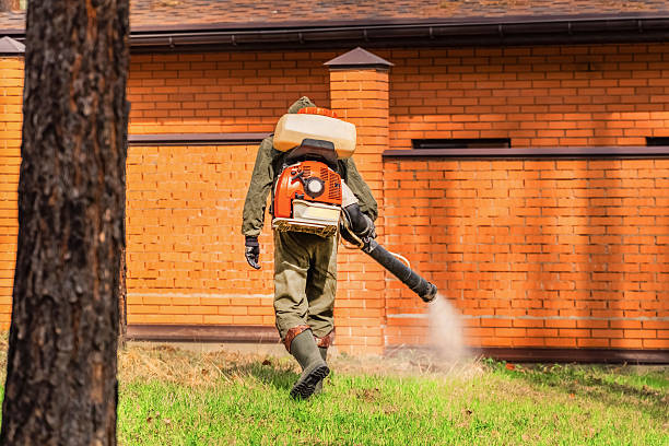 Trusted Bed Bug Control service in Essex Junction, VT - Nex Pest Control